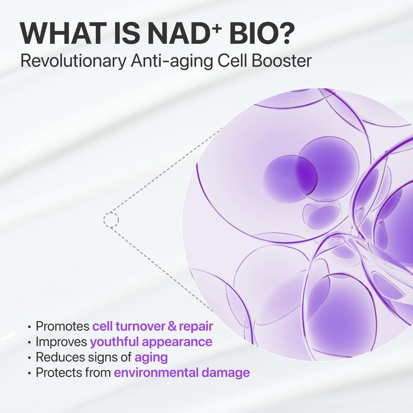 numbuzin No.9 NAD+ Peptide Lifting Serum for Face and Body, Firming & Wrinkles, 50 Peptide Essence