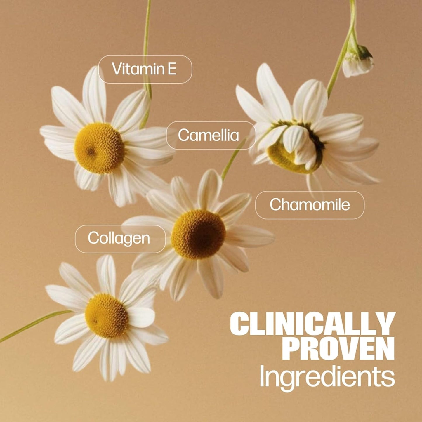 Medicine Mama's Apothecary Vmagic Gentle Feminine Wash pH Balanced to Cleanse and Rejuvenate Intimate Skin with Chamomile, Collagen, Vitamin E and Sage – Hormone Free — 8 oz, 2-Pack