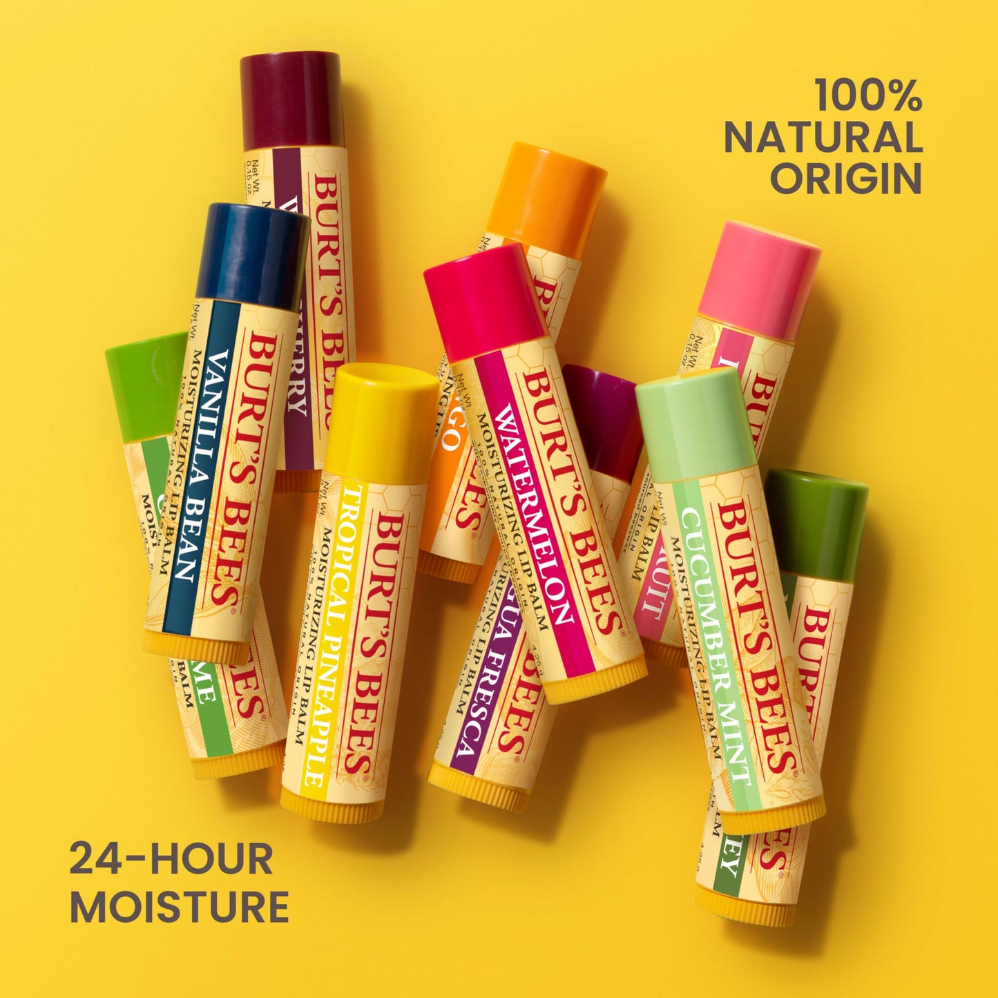 Burt's Bees 100% Natural Moisturizing Lip Balm (Original Beeswax)