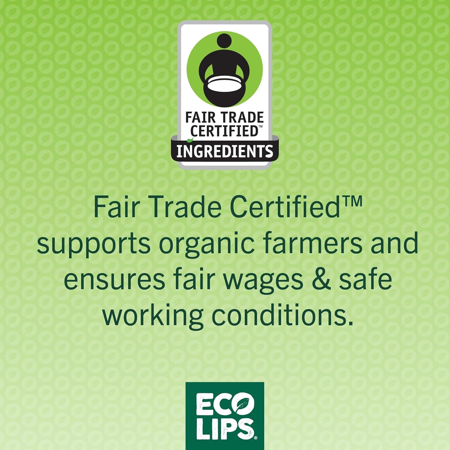 Eco Lips Lip Food - Nutrient Dense & Organic Lip Balm (Nourish, Plump and Protect)