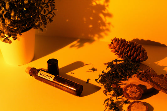 Best Nighttime Beauty Routine for Lash Care