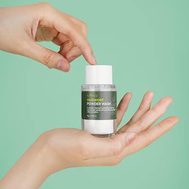 IsNtree Mugwort powder wash 15g | Mild peeling | Enzyme bubble cleanser | Soothes sensitive skin