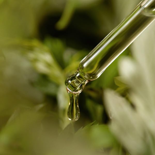 I'm From Mugwort Serum, Deep Soothing Mugwort Serum, Hydration, Daily, All Skin Types, Korean Skin