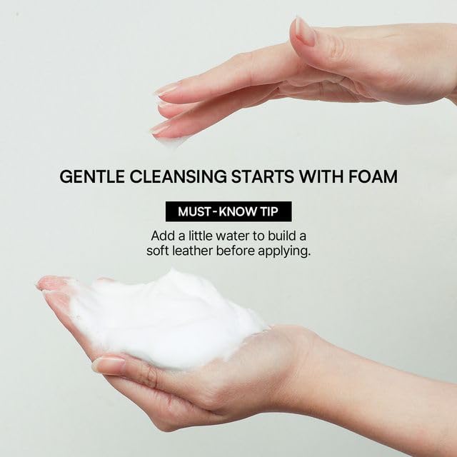 ROUND LAB 1025 Dokdo Cleanser, 10.14 Fl Oz