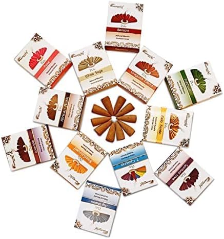 ARO VATIKA Vedic Natural Masala 120 Incense Cones in Pack of 12 Boxes |12 Assorted Fragrances Dhoop Cones | Best for Prayer, Reiki, Meditation and Relaxation | Burn time- 25 Mins
