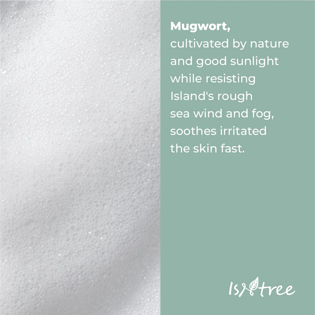 IsNtree Mugwort powder wash 15g | Mild peeling | Enzyme bubble cleanser | Soothes sensitive skin