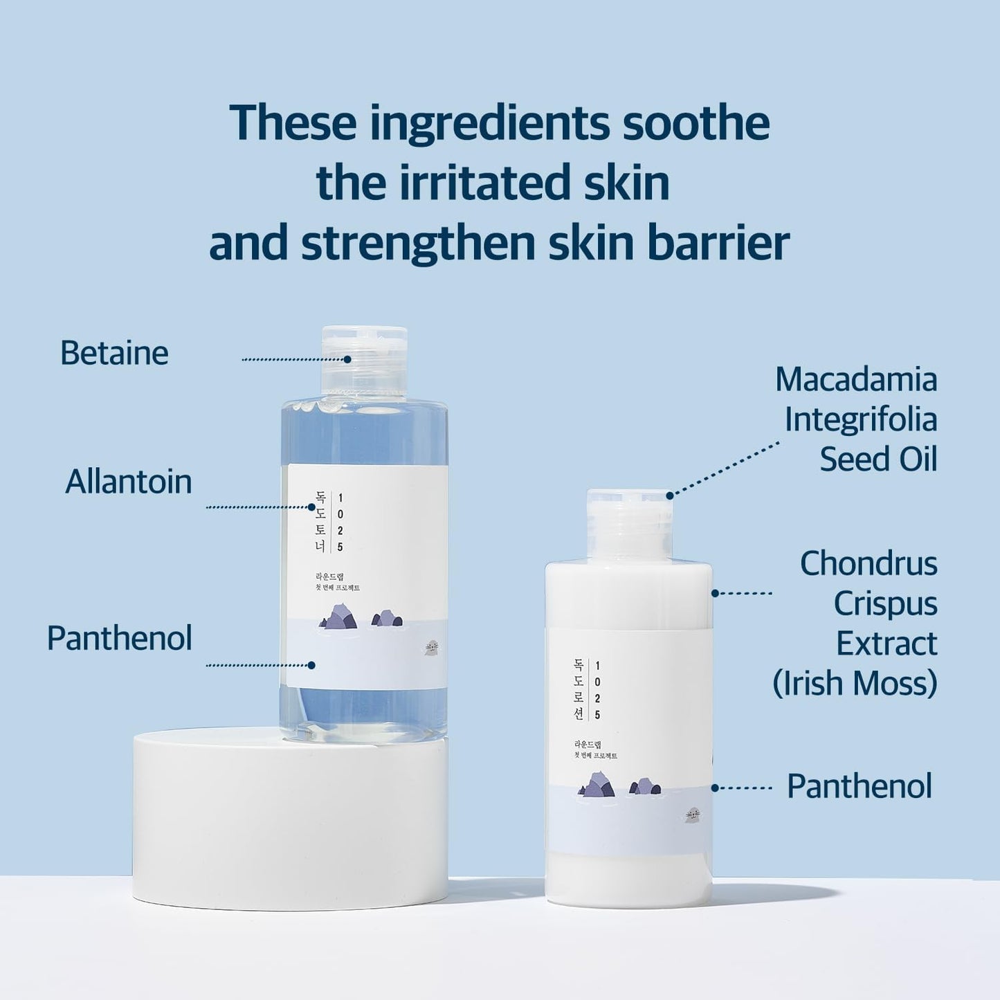 Round LAB 1025 Dokdo Toner + Dokdo Lotion Set | Gentle Exfoliating Dead Skin Cells Without