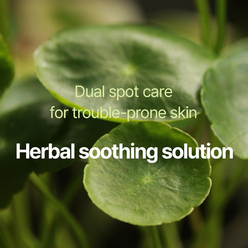 Pyunkang Yul PKY Calming Clear Spot Patch (Slim Care)145 count Quick, Adhesive & Invisible Oval Fit Stickers, Hydrocolloid Acne Spot Cover, Pimple Focused Skin Care for Blemishes and Zit, 2 Sized