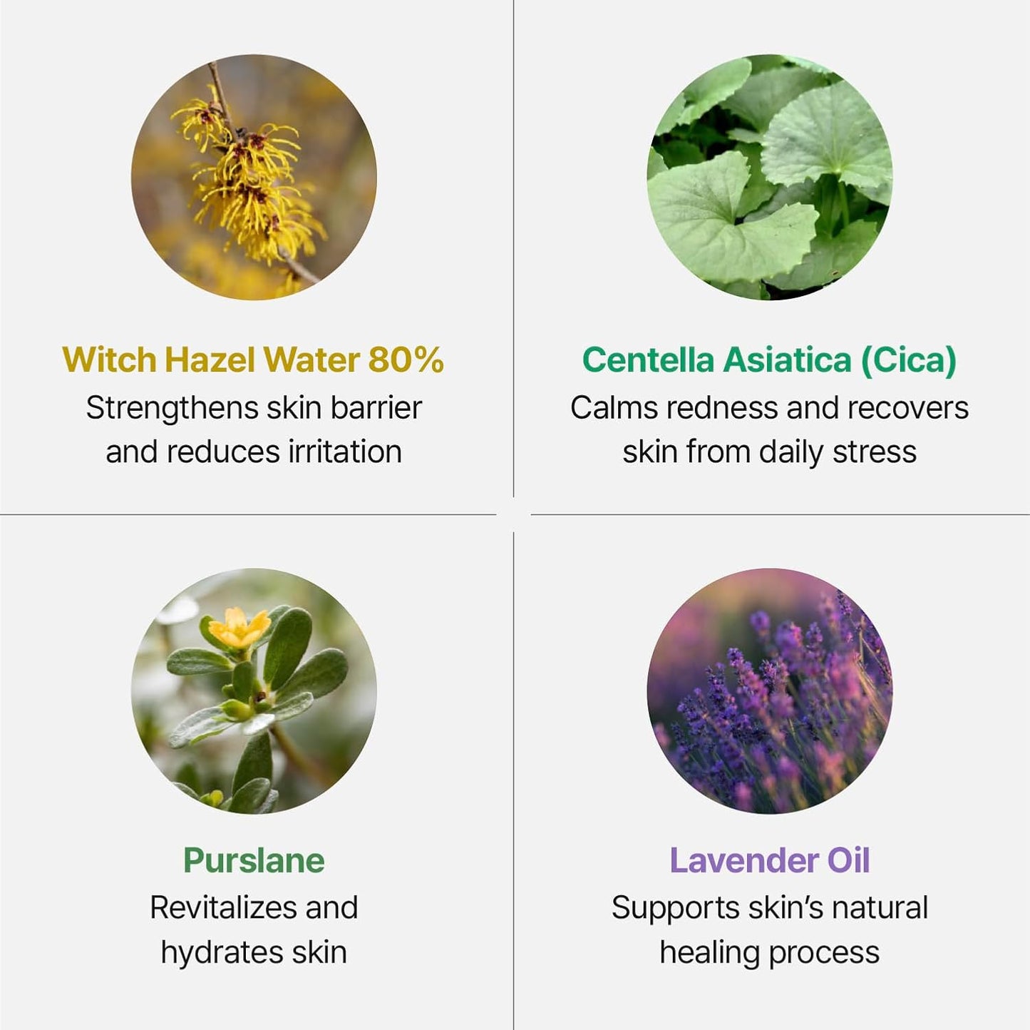 Silver Frost Mist - Facial Barrier Toner Spray with 80% Witch Hazel Water, Cica for Skin Barrier Repair, Recovery Mist for Sensitive Skin, Dewy Hydration, Korean Skin Care (3.38 fl oz)