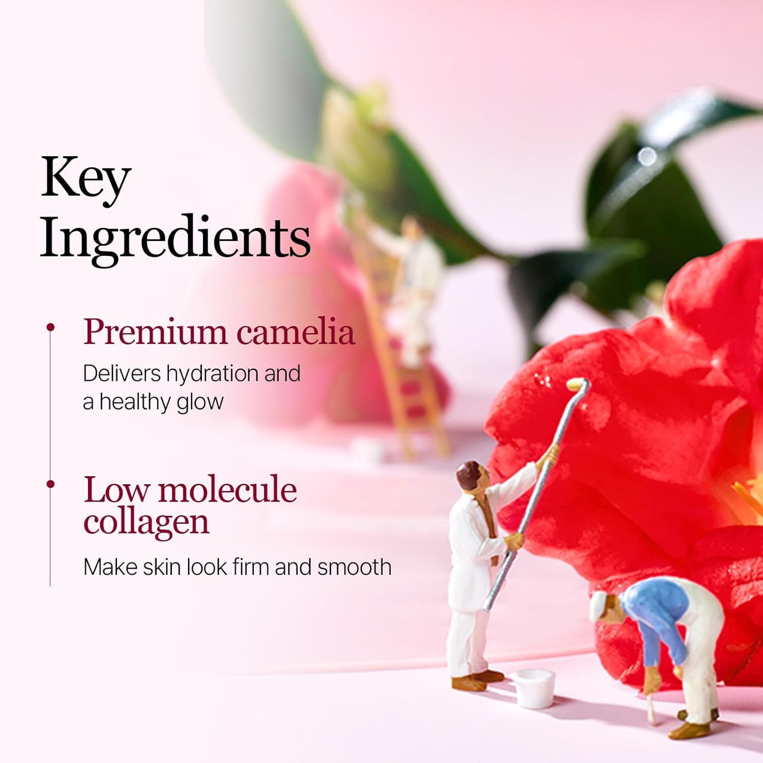 ROUND LAB Camellia Collagen Mask, 30min Hydrogel Mask, Quick Hydration, Firming&Pore Minimizing