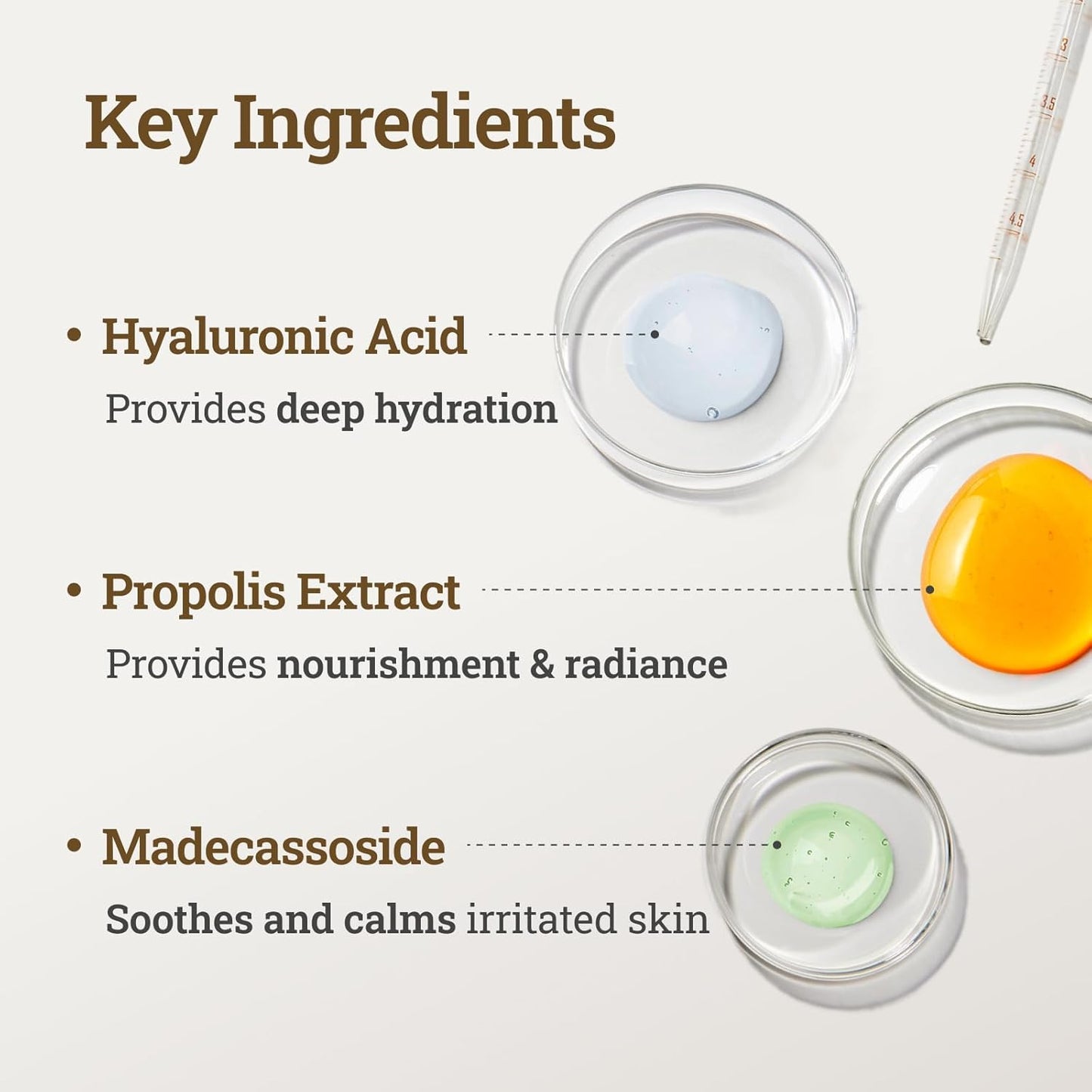 CNP Honey Glow Serum - Hyaluronic Acid & Propolis for Hydrating, Anti-Aging, Centella Soothing Serum, for Sensitive Skin, Korean Skin Care (1.18 fl. oz)