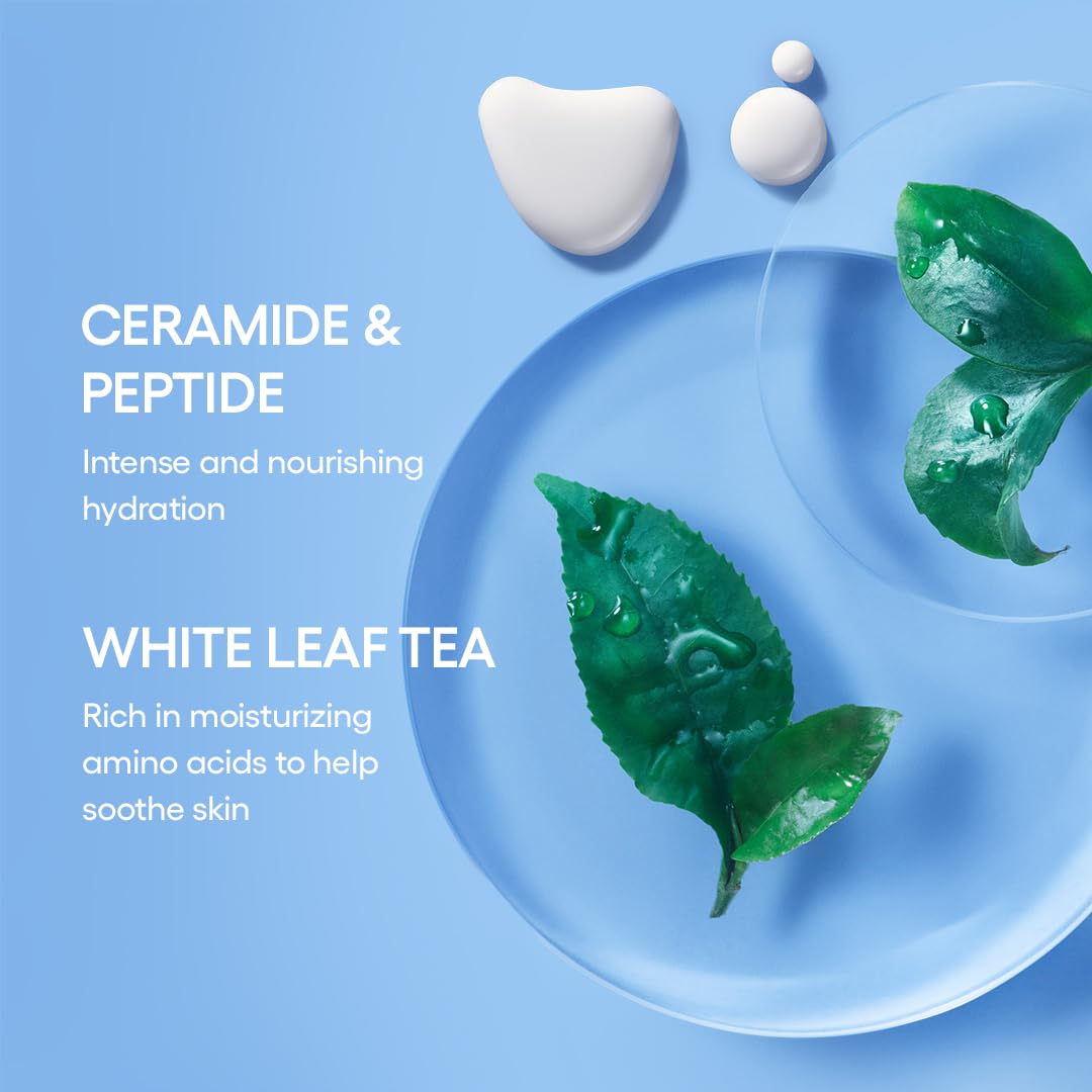 LANEIGE Icons To Go Set: Cream Skin, Water Bank Cream, Lip Sleeping Mask, Water Sleeping Mask
