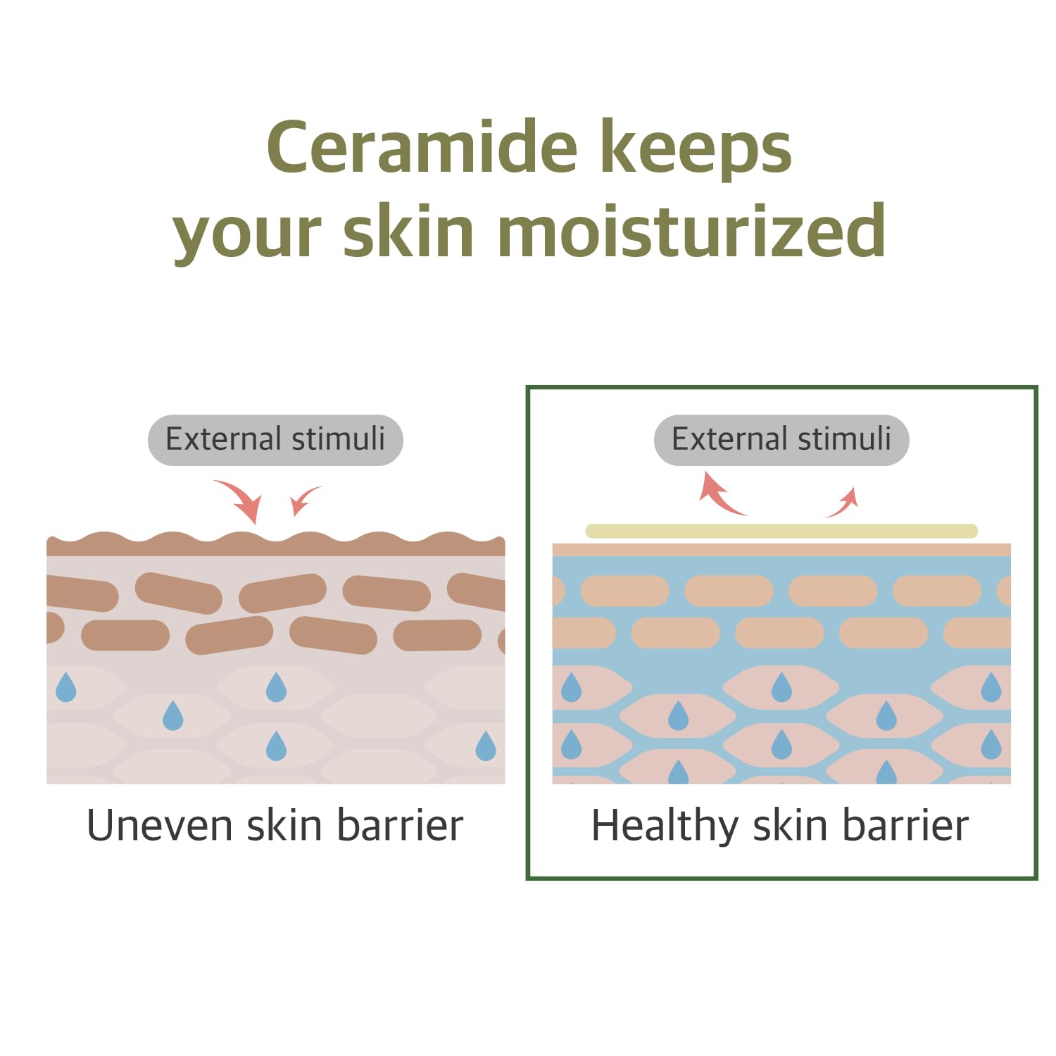 ROUND LAB Soybean Nourishing Mask | Nourished and firmer skin with Black Soybean Extract, Creamy