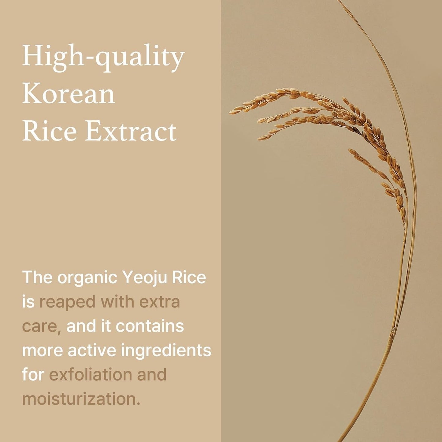 I'm from Rice Sheet Mask Pack of 5, Korean Rice Face Mask, Creamy Hydration for Dry, Combination