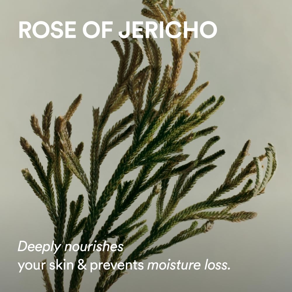Abib Jericho Rose PHA Toner Skin Booster 6.76 fl oz, Korean Skin Exfoliating Toner for Firming &