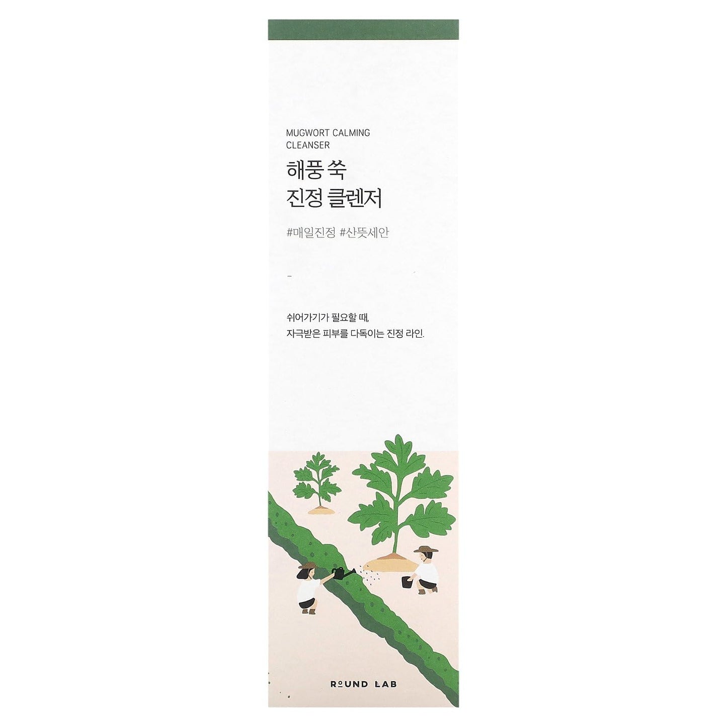 ROUND LAB Mugwort Calming Cleanser | Cleanse and calm simultaneously, Formulated with 4-CICA