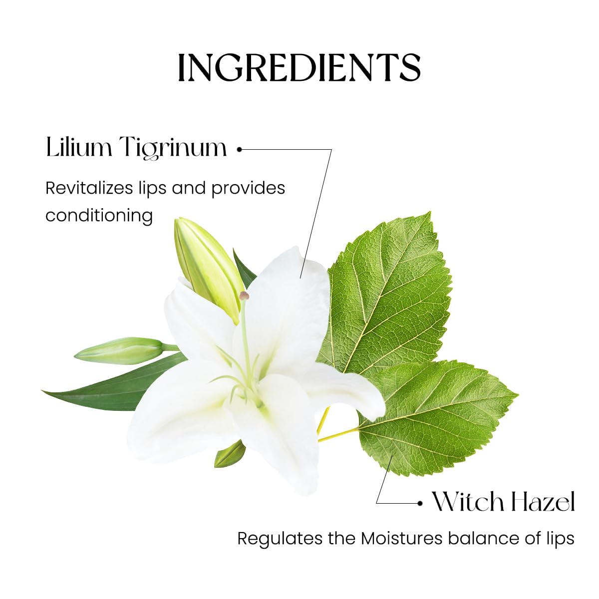 Peripera Ink Mood Glowy Tint (012 WARM-GORITHM (NEW))