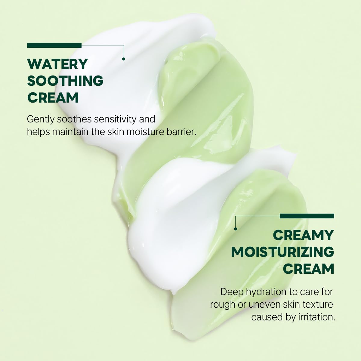 ROUND LAB Pine Cica Calming Cream Plus 60ml