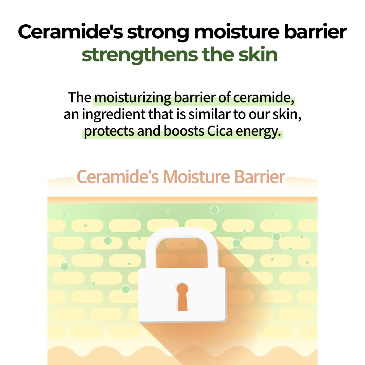 numbuzin No.2 Cream | Cica Ceramide Repair Cream | Ceramide, Centella Asiatica | Hydrating