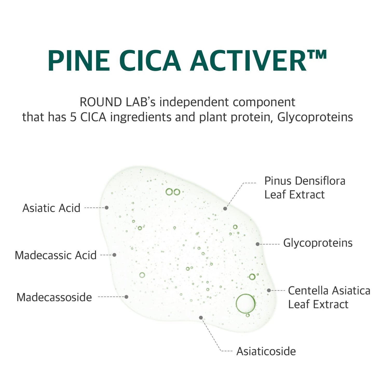 ROUND LAB Pine Calming Cica Pad 50pcs, 7cm Wide Cooling and Soothing Toner Pads with Pine Cica, BHA