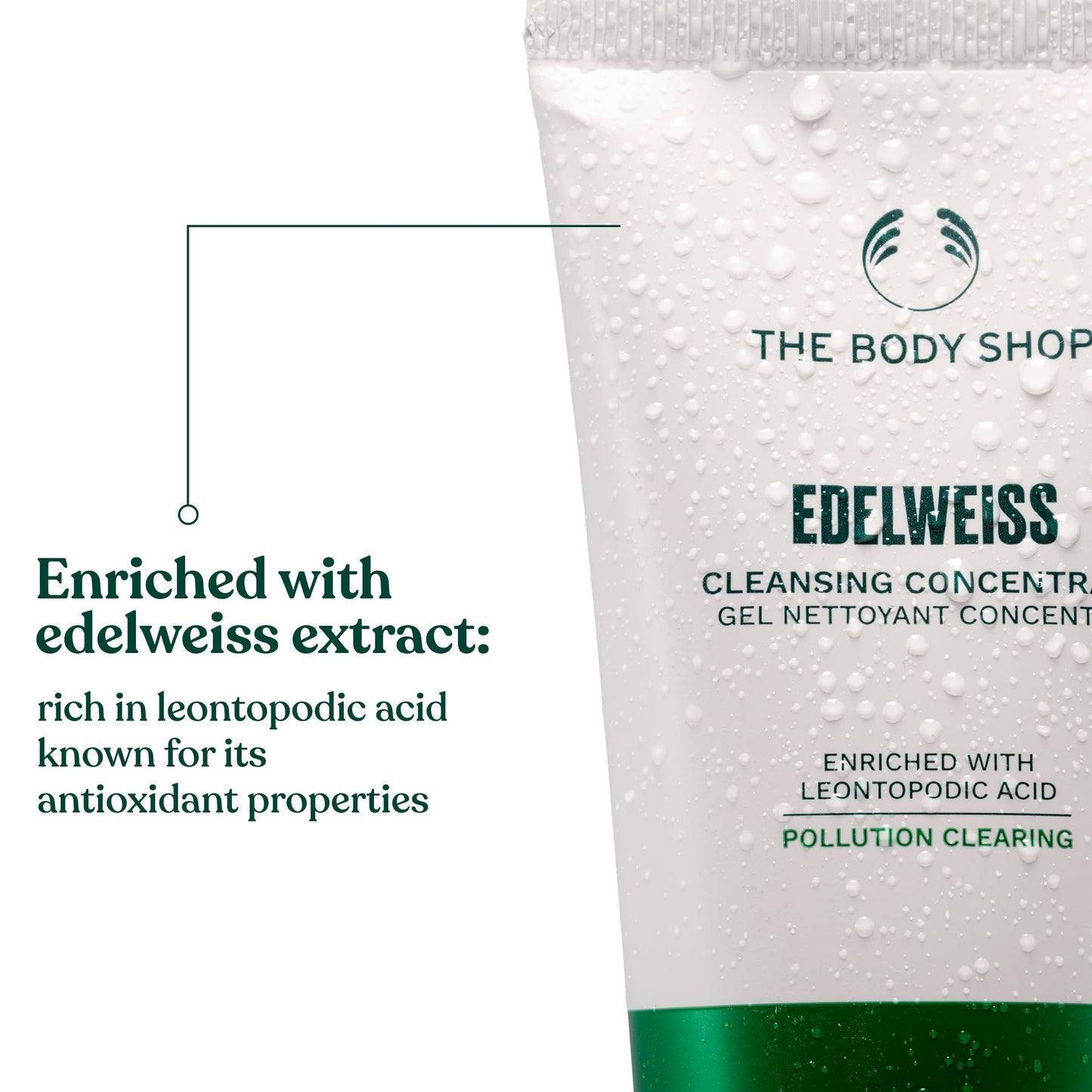 The Body Shop Edelweiss Cleansing Concentrate – Facial Cleanser – Gently Cleanses Tired, Dehydrated