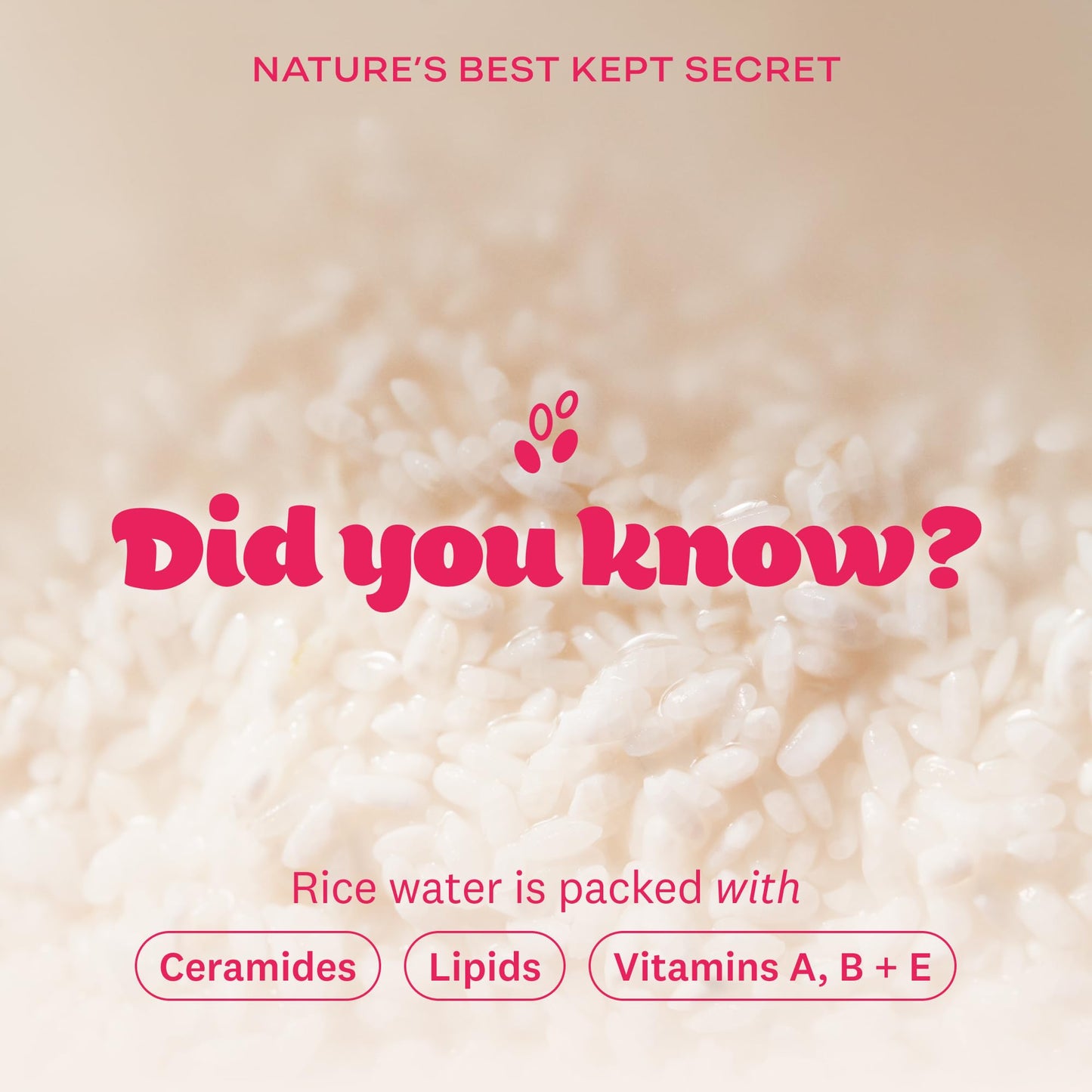 The Face Shop Rice Water Bright Vegan Serum - Targets Uneven Skin Tone & Dryness, Brightening