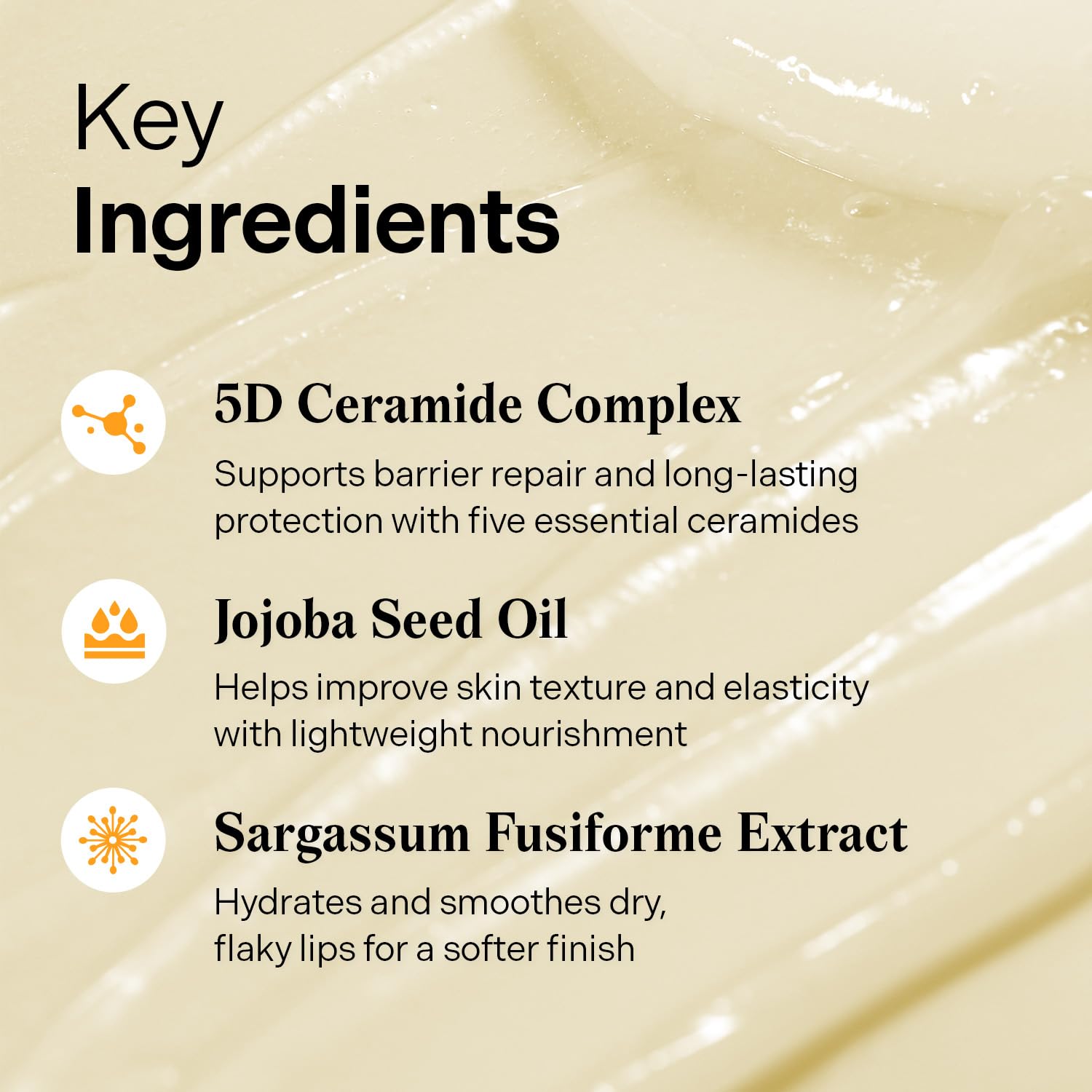 Torriden SOLID In Ceramide Lip Essence 0.37 fl.oz * 2 (Pack of 2) | Moisturizing Lip Essence for