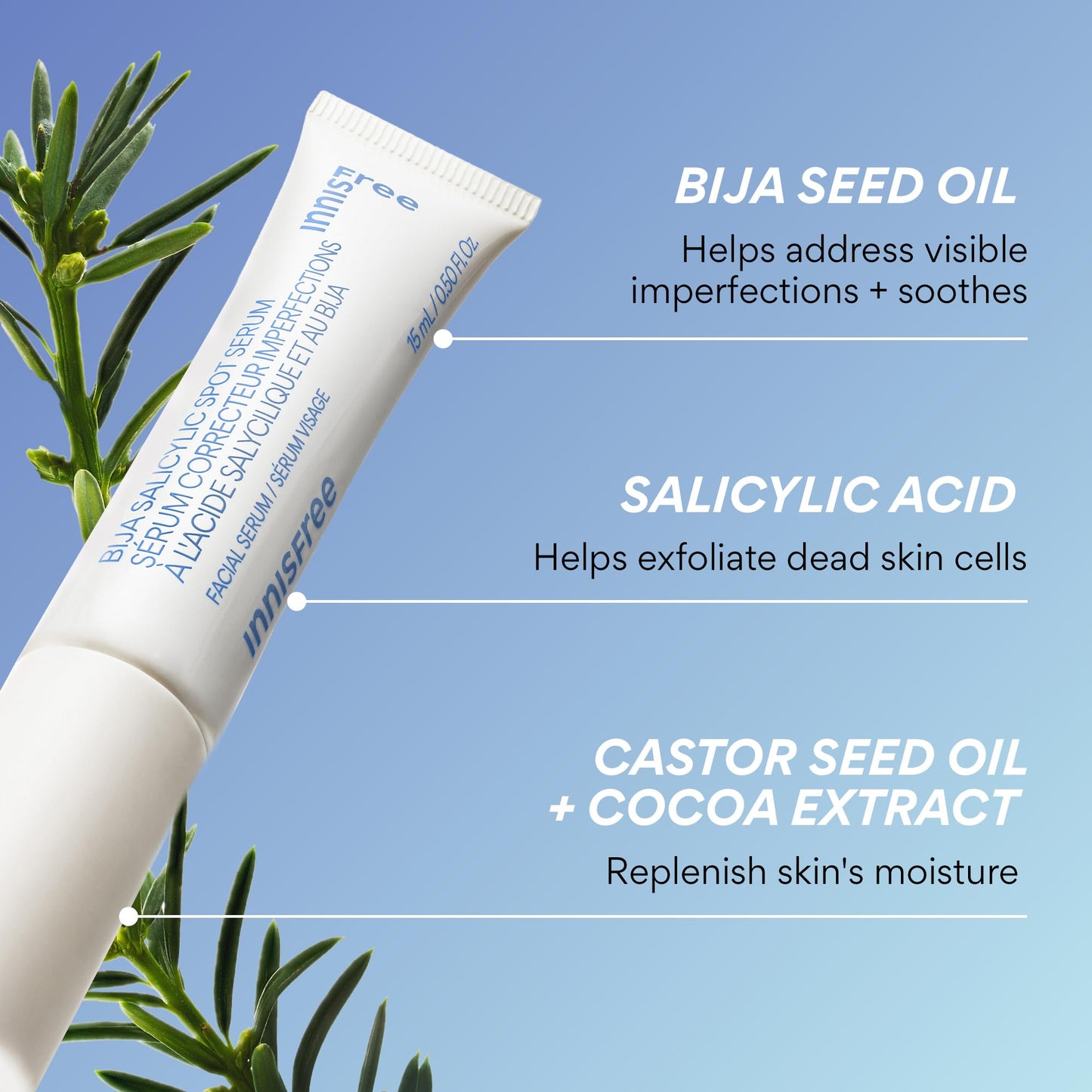 innisfree Bija Spot Serum with Salicylic Acid & Castor Oil | Korean Treatment for Acne, Pore Care