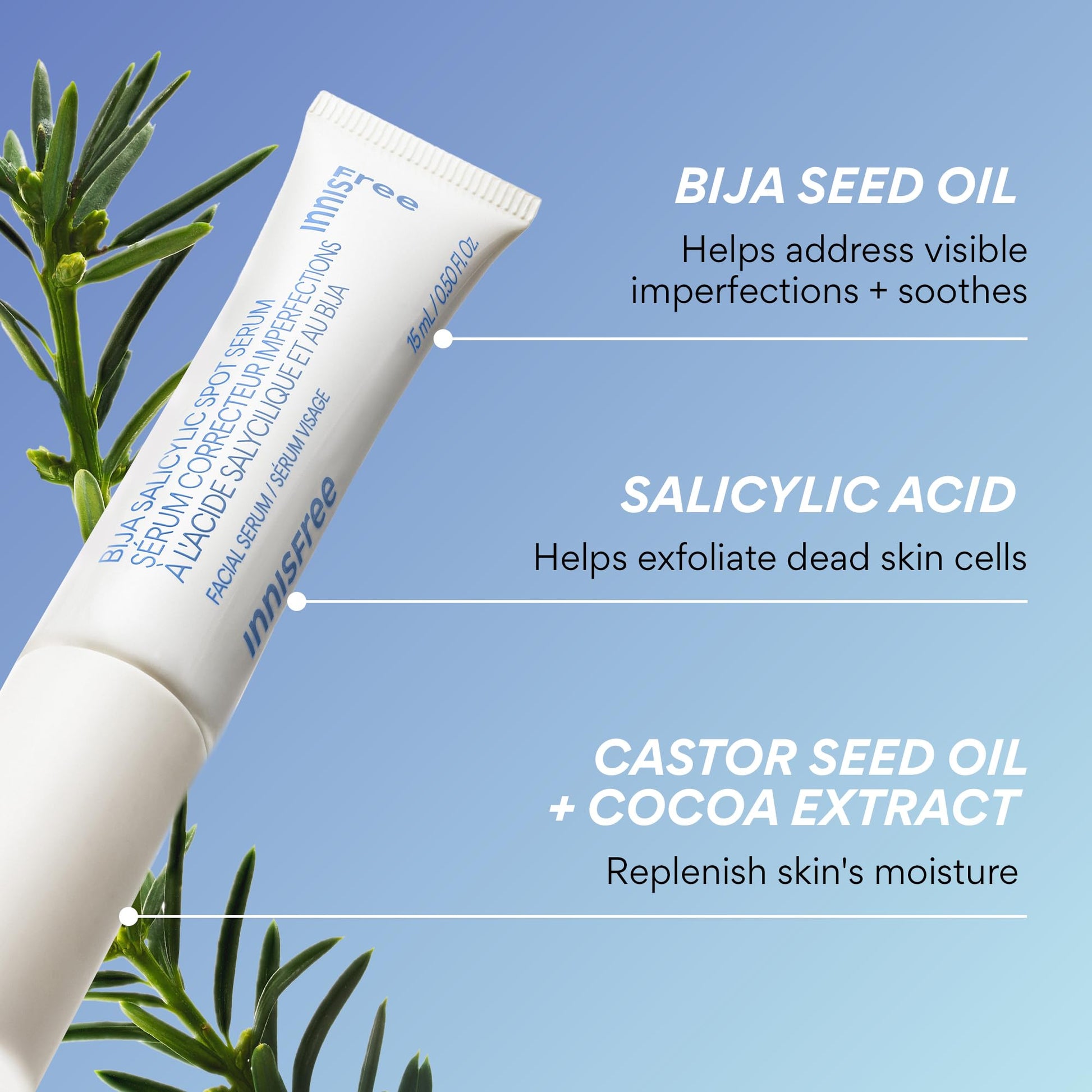 innisfree Bija Spot Serum with Salicylic Acid & Castor Oil | Korean Treatment for Acne, Pore Care