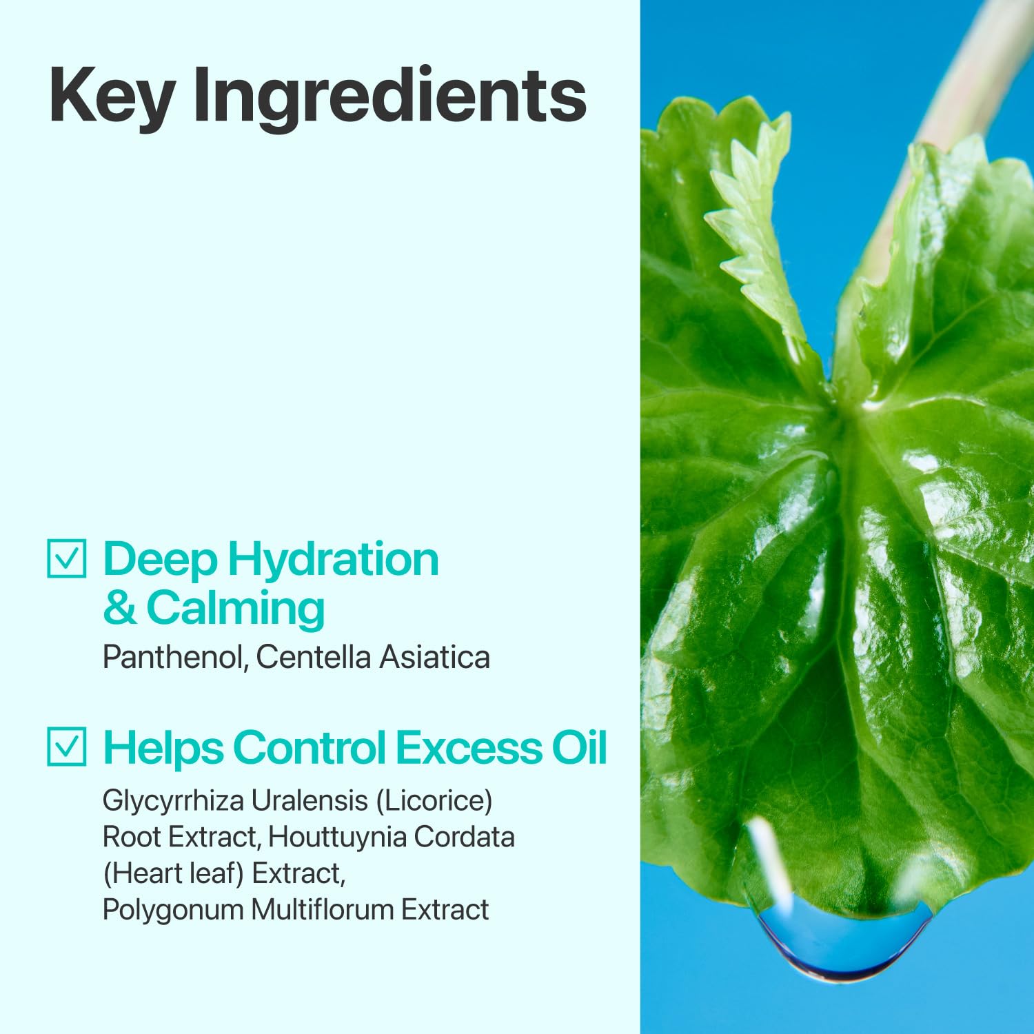 numbuzin No.1 Toner | Pure-Full Calming Herb Toner | Breakouts, Redness, Excess Oil Control |
