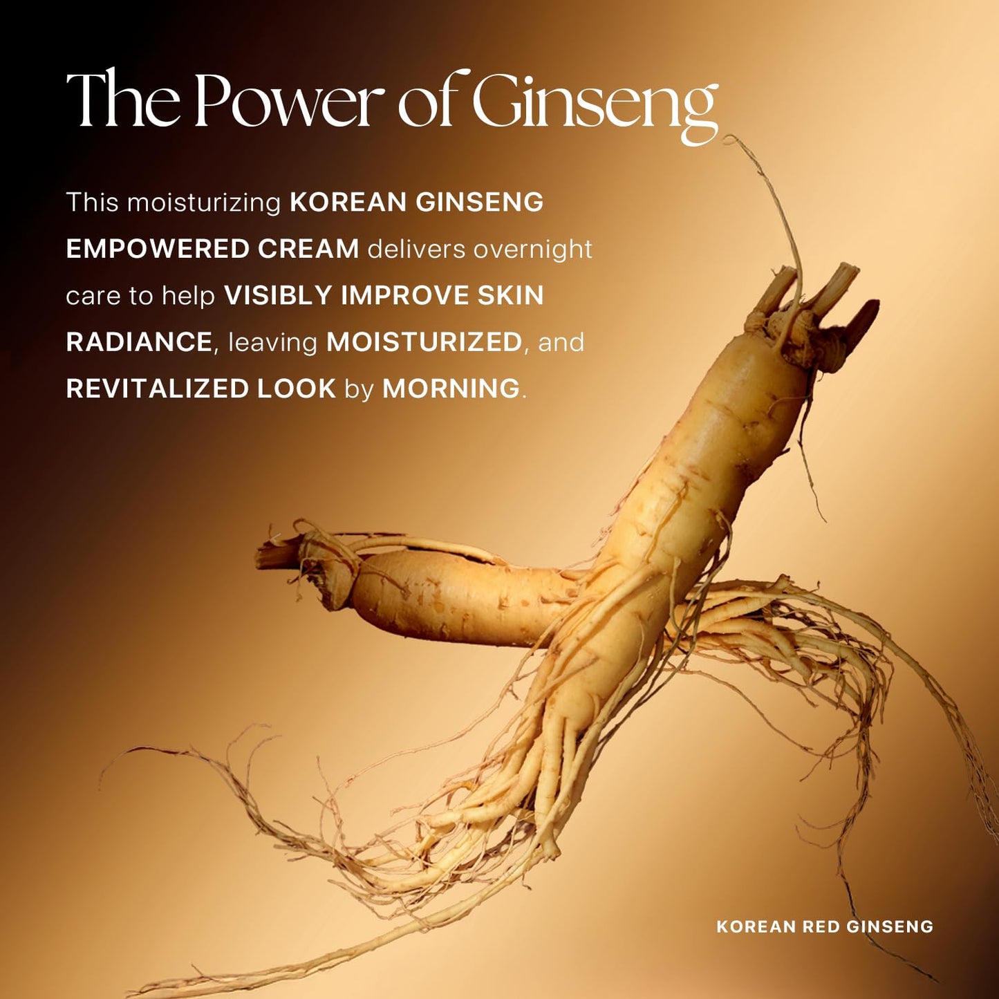 Nature Republic Ginseng Gold Silk Watery Cream 2.11 Oz(60g) | 6 Years Korean Ginseng, 99.9% Pure
