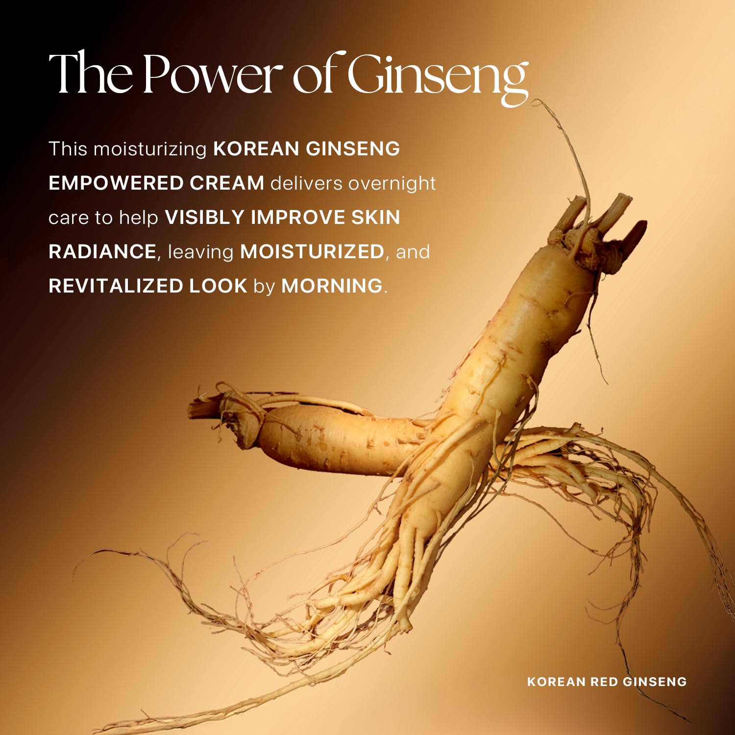 Nature Republic Ginseng Gold Silk Watery Cream 2.11 Oz(60g) | 6 Years Korean Ginseng, 99.9% Pure