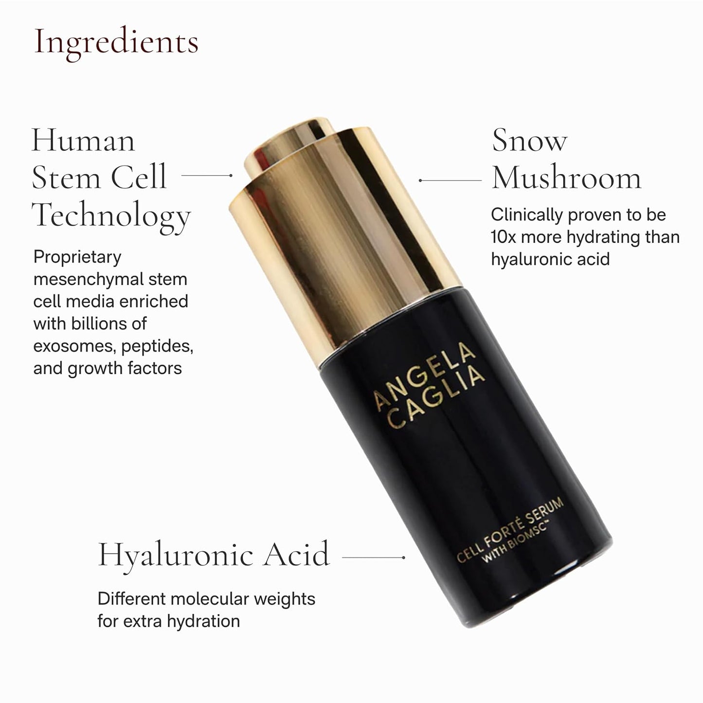 Cell Forté Serum | Billions of Human Stem Cell-derived Exosomes, Growth Factors, and Peptides with Hyaluronic Acid for Fine Lines and Wrinkles - Reduces Sun Damage & Hyperpigmentation - 4 in 1 Formula