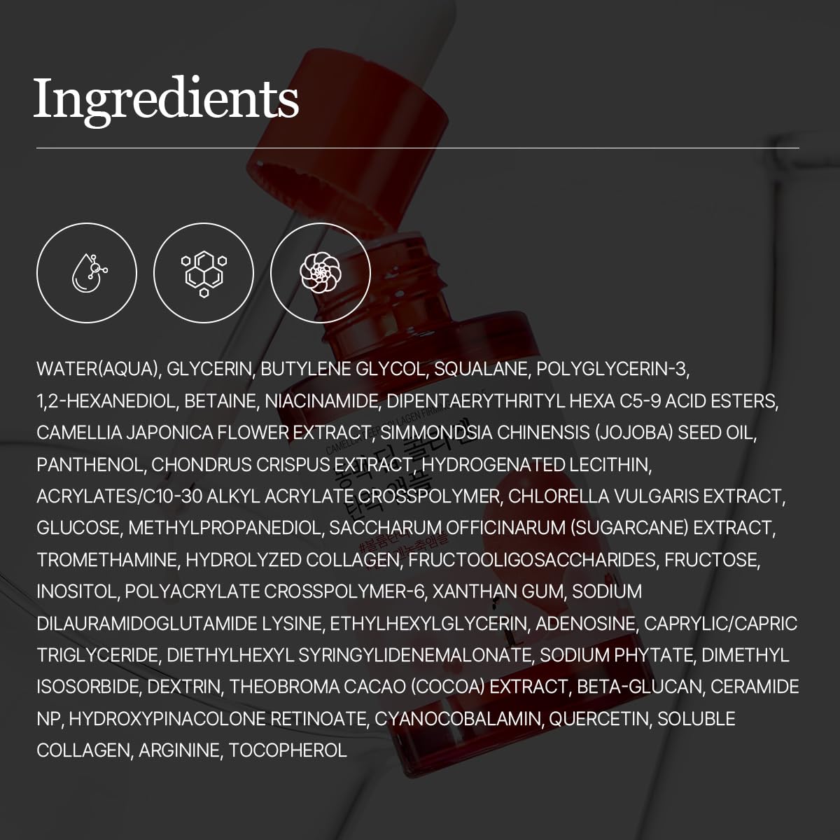 ROUND LAB Camellia Deep Collagen Firming Ampoule 1.01 Fl Oz, Hydrating and Elasticity-Enhancing