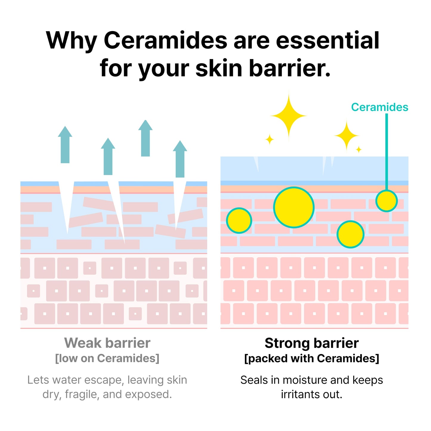 Dr.Jart+ Ceramidin Skin Barrier Korean Face Cream Moisturizer with Ceramides and Panthenol | Korean