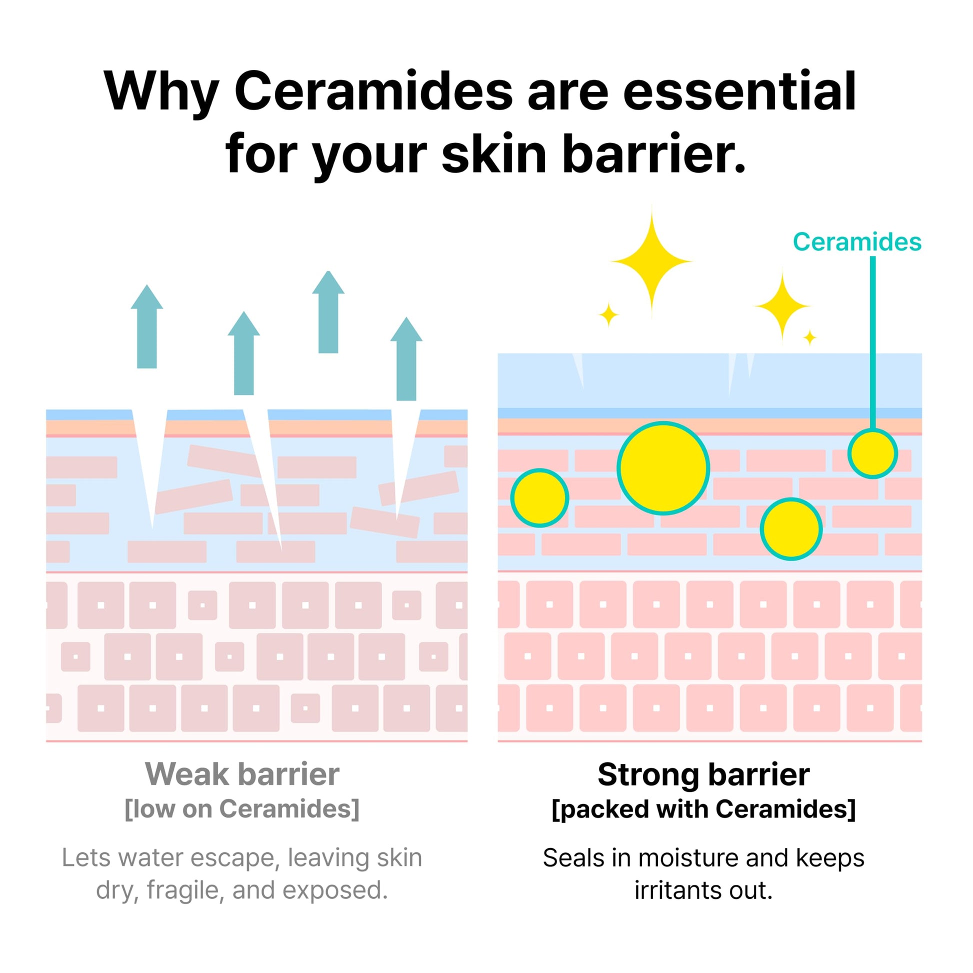 Dr.Jart+ Ceramidin Skin Barrier Korean Face Cream Moisturizer with Ceramides and Panthenol | Korean
