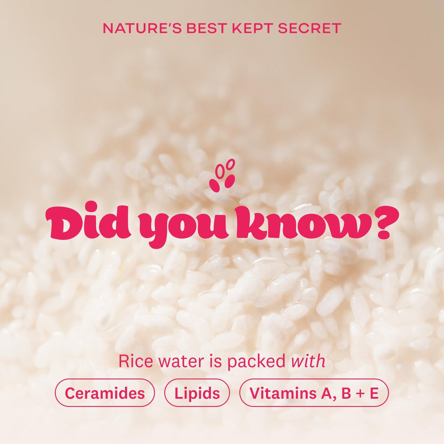 THE FACE SHOP Rice Water Bright Makeup Remover Wipes for Face, Moisturizing, Infused with Rice