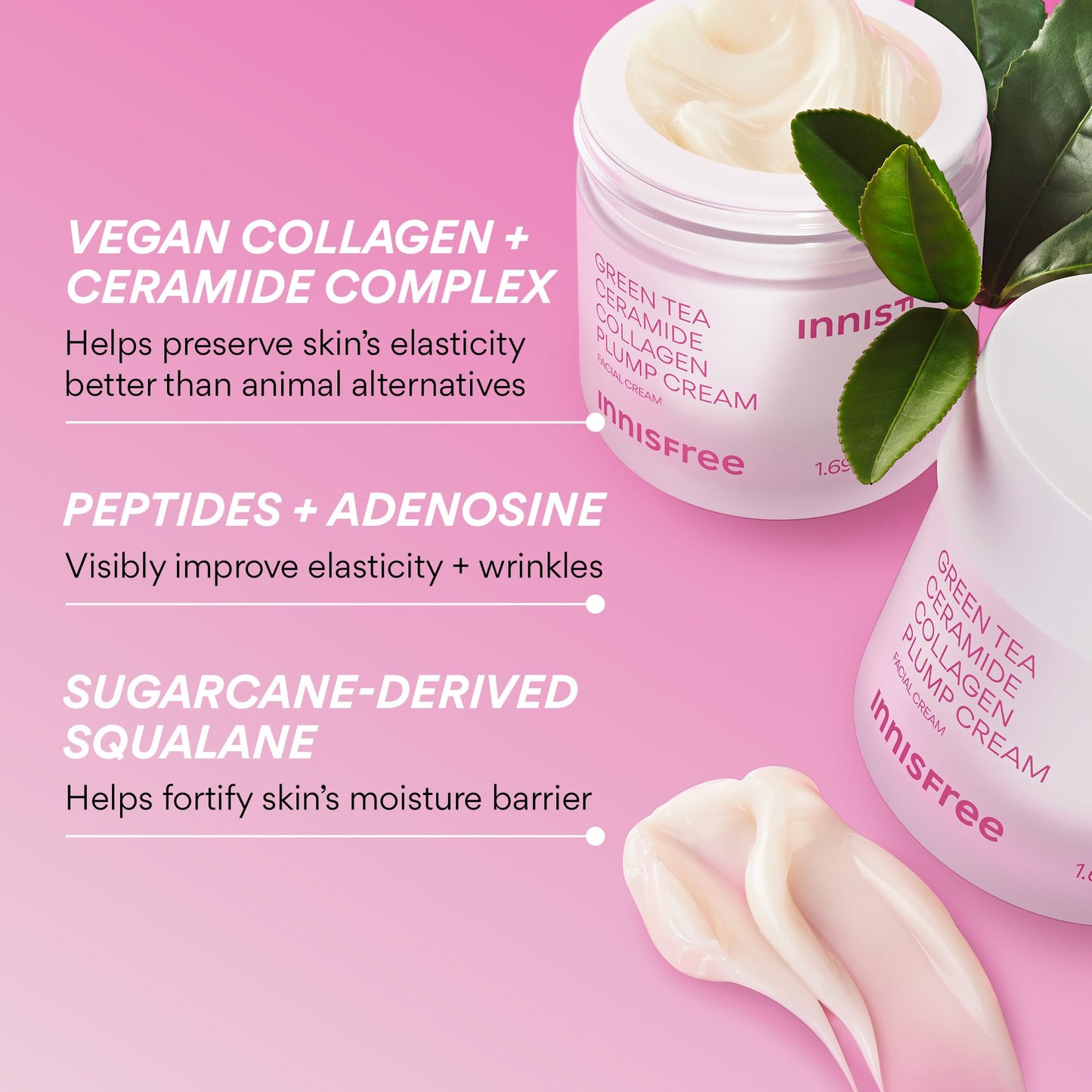 innisfree Green Tea Ceramide Plump Cream | Korean Anti-Aging Face Moisturizer with Niacinamide for