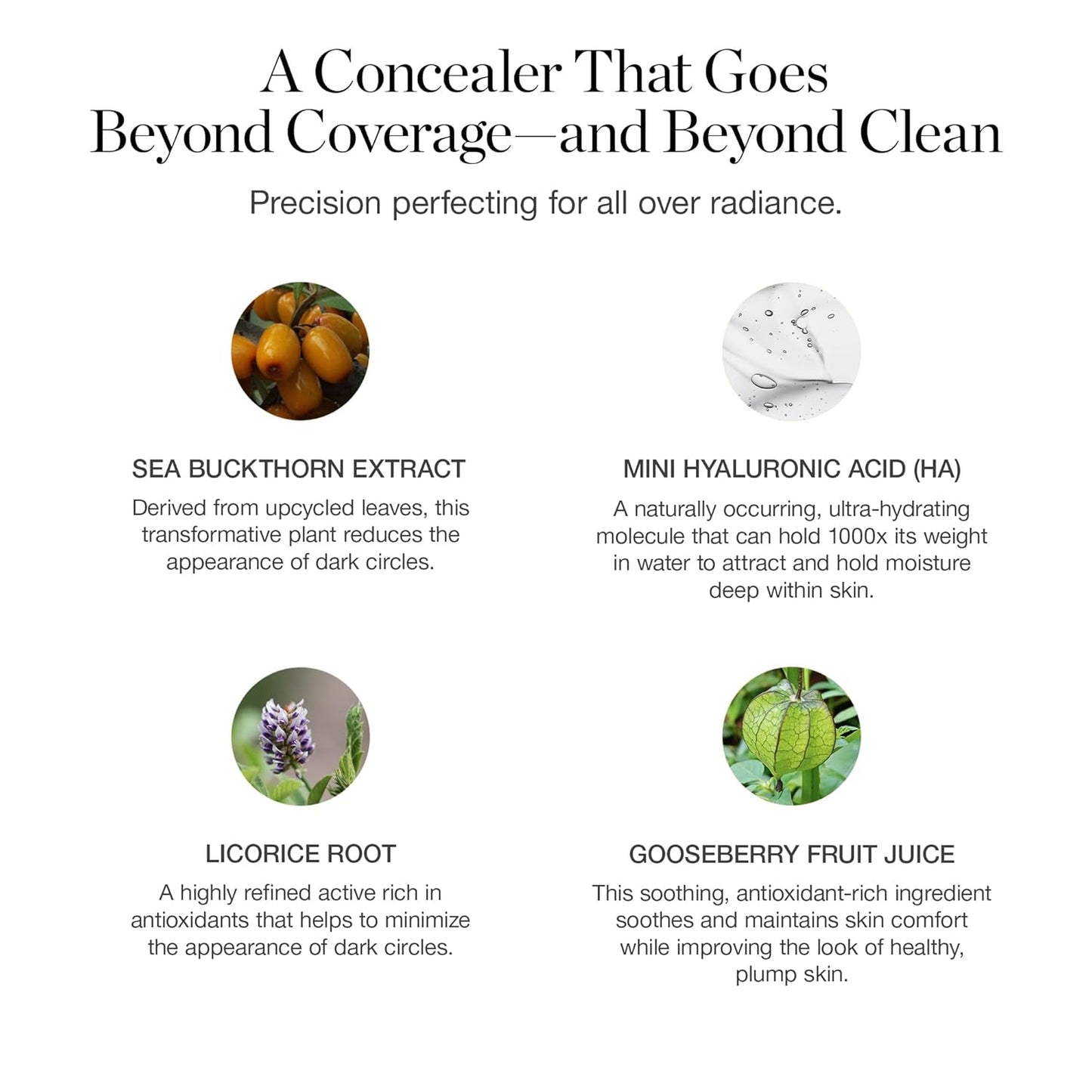 Ogee Complexion Perfecting Under Eye Concealer - Certified Organic Full Coverage Concealer - Buildable Coverage - HAZEL 2.90N - Light (Golden Undertones)