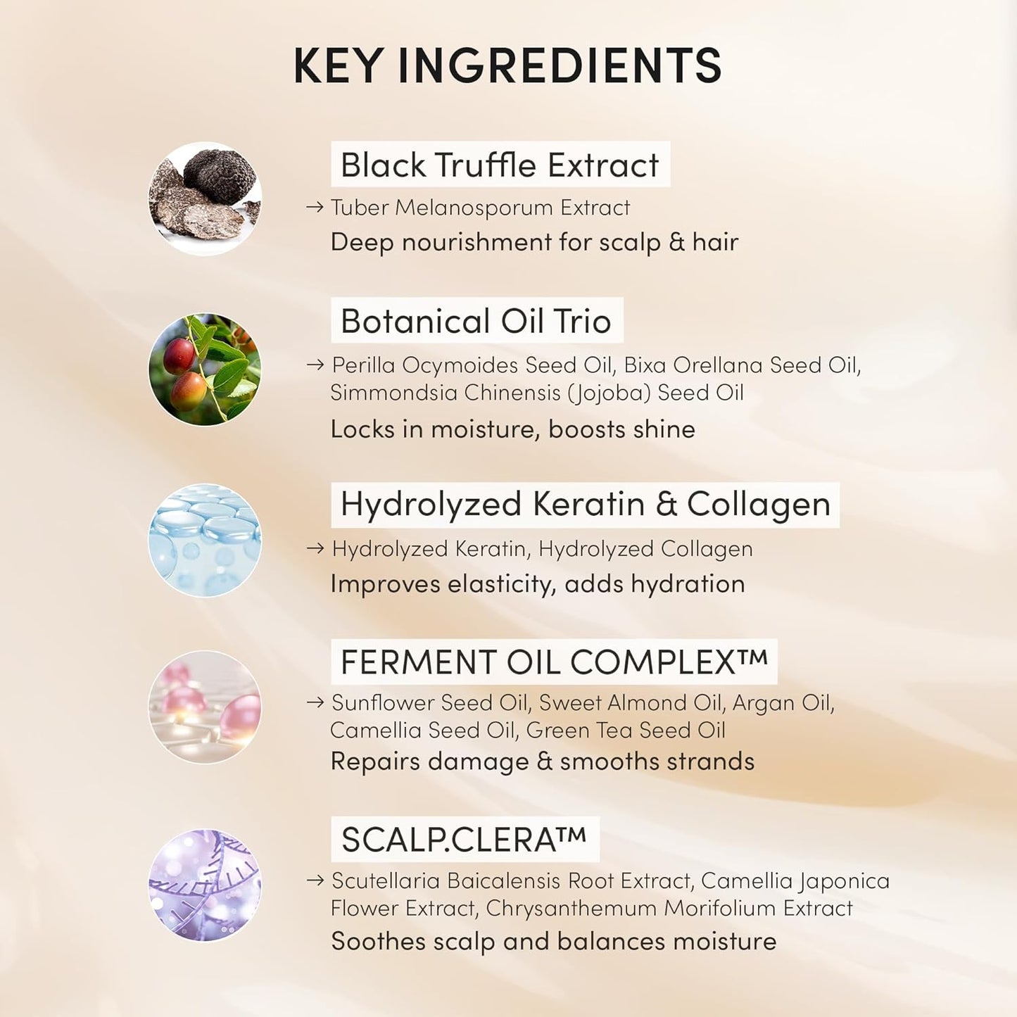 Instant Permanent Hair Color Dye Shampoo Ampoule - Paraben-Free, 5-Minute Easy and Fast Coloring, Keratin & Collagen, Made in Korea (Fine Black)