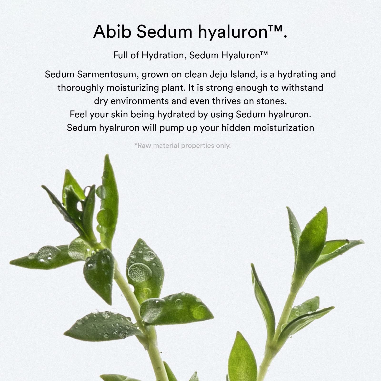 Abib Sedum hyaluron pad Hydrating touch (75 pads) | Hydrating for Dry Skin, Korean Skincare