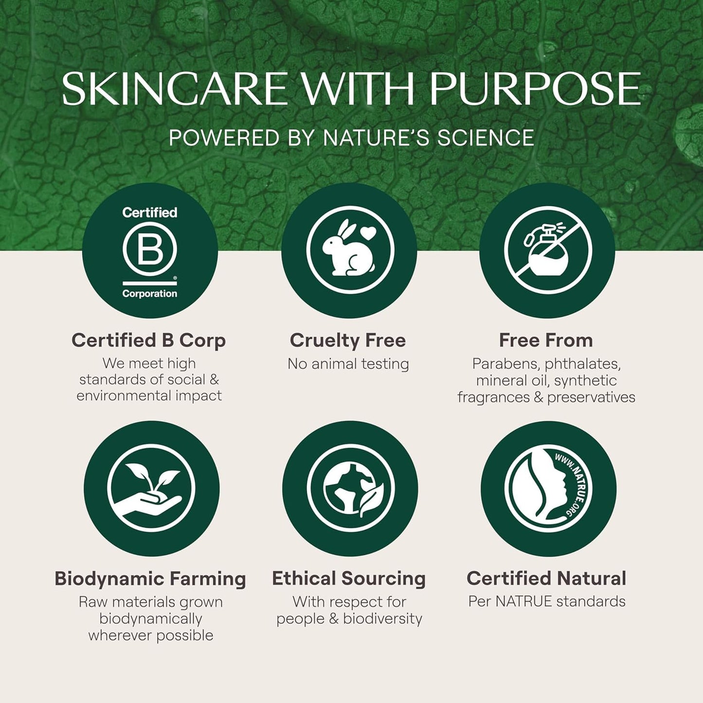 Weleda Skin Food Face Care Nourishing Night Cream, 1.3 Fluid Ounce, Plant Rich Moisturizer with Sacha Inchi Oil, Cica and Squalane