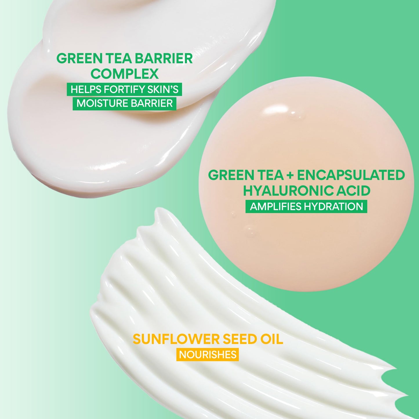 Innisfree Hydrate + Protect Set | Korean Skincare Set with Hydrating Green Tea Serum, Moisturizing