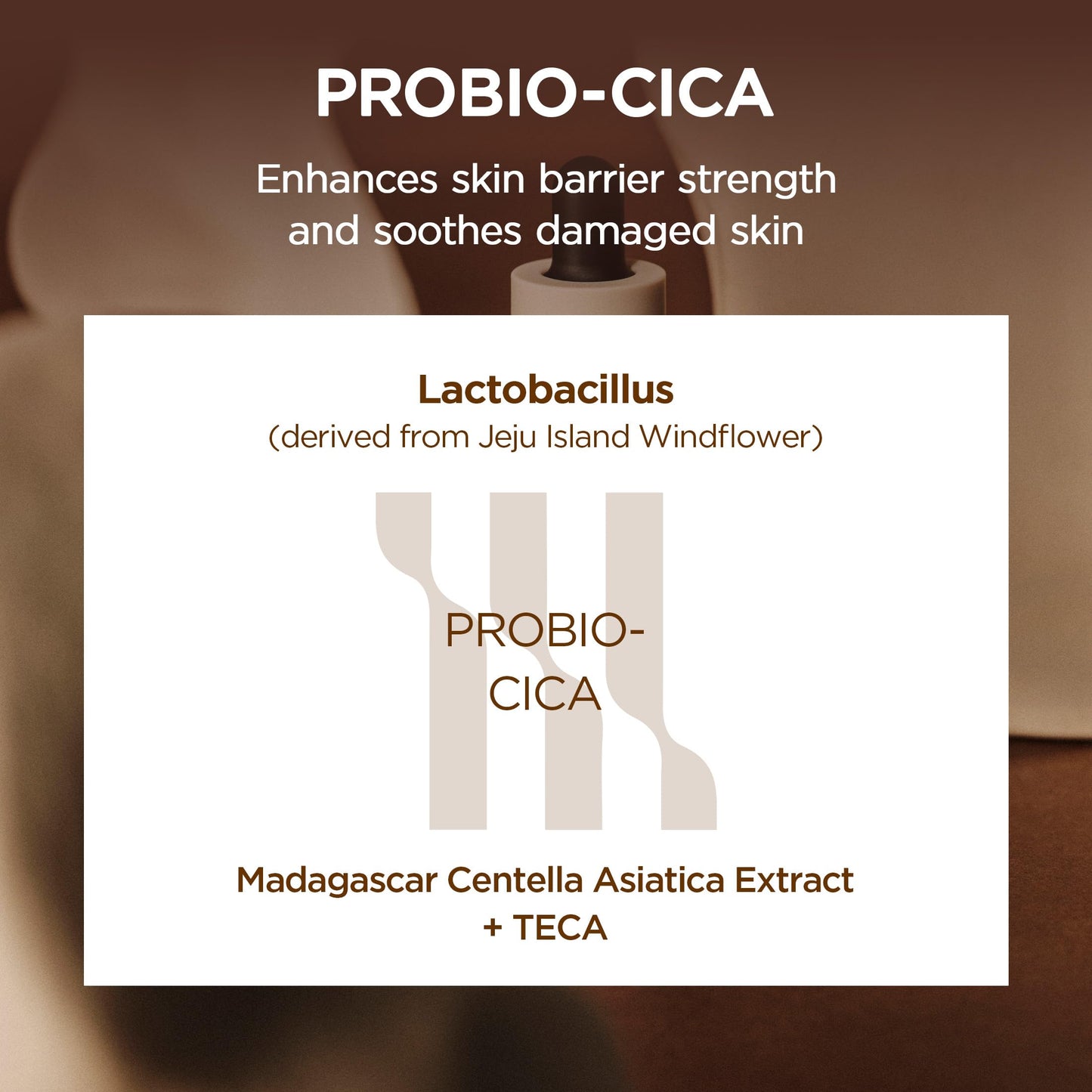 SKIN1004 Probio Cica Intensive Ampoule, Centella Serum for Face with Ceramide, Facial Serum for