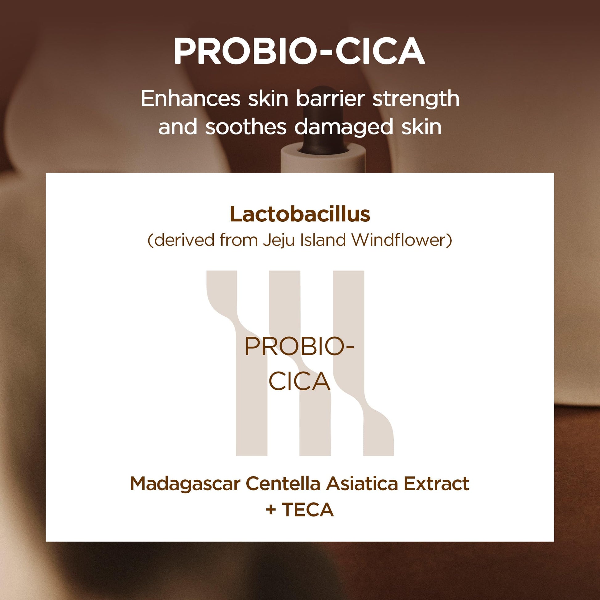 SKIN1004 Probio Cica Intensive Ampoule, Centella Serum for Face with Ceramide, Facial Serum for