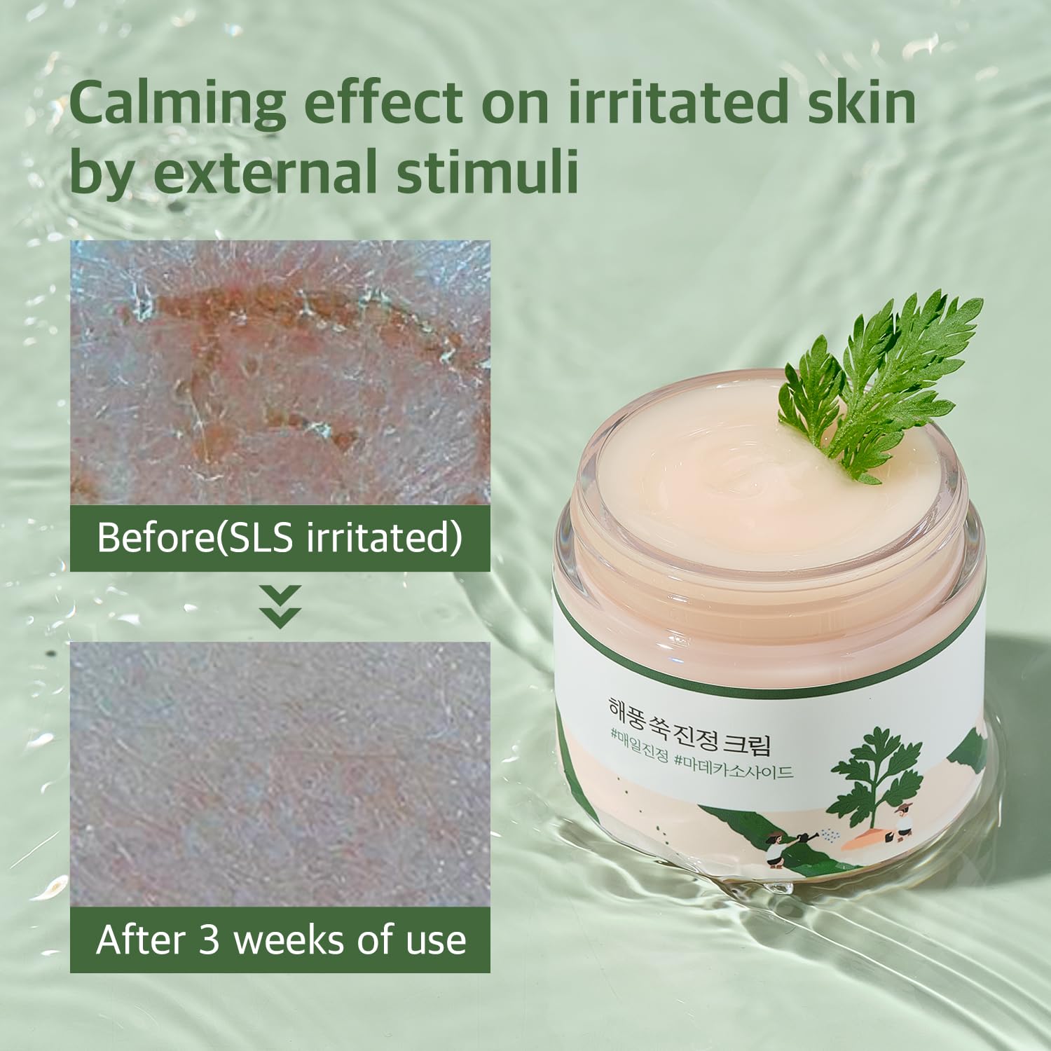 ROUND LAB Mugwort Calming Cream 80ml / Soothing, Moisturizing, Madecassoside, Calming Cream