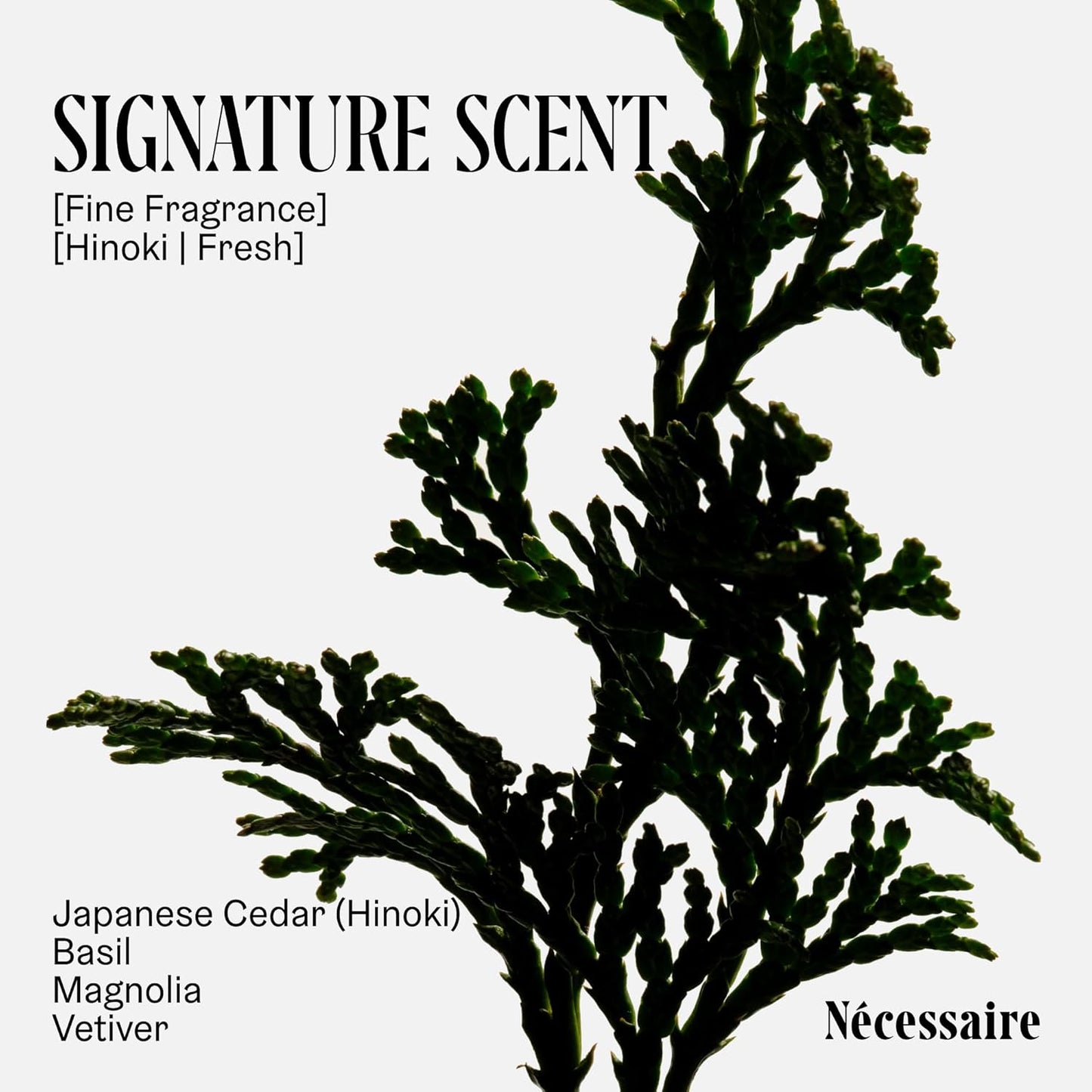 Nécessaire The Body Wash - Collection Set. Self Care Gifts for Women + Men, 4x Travel Size Skin Care Set, Natural Body Wash for Women + Men. With Vitamins + Niacinamide. Gel Cleanse, 3.4 fl oz.