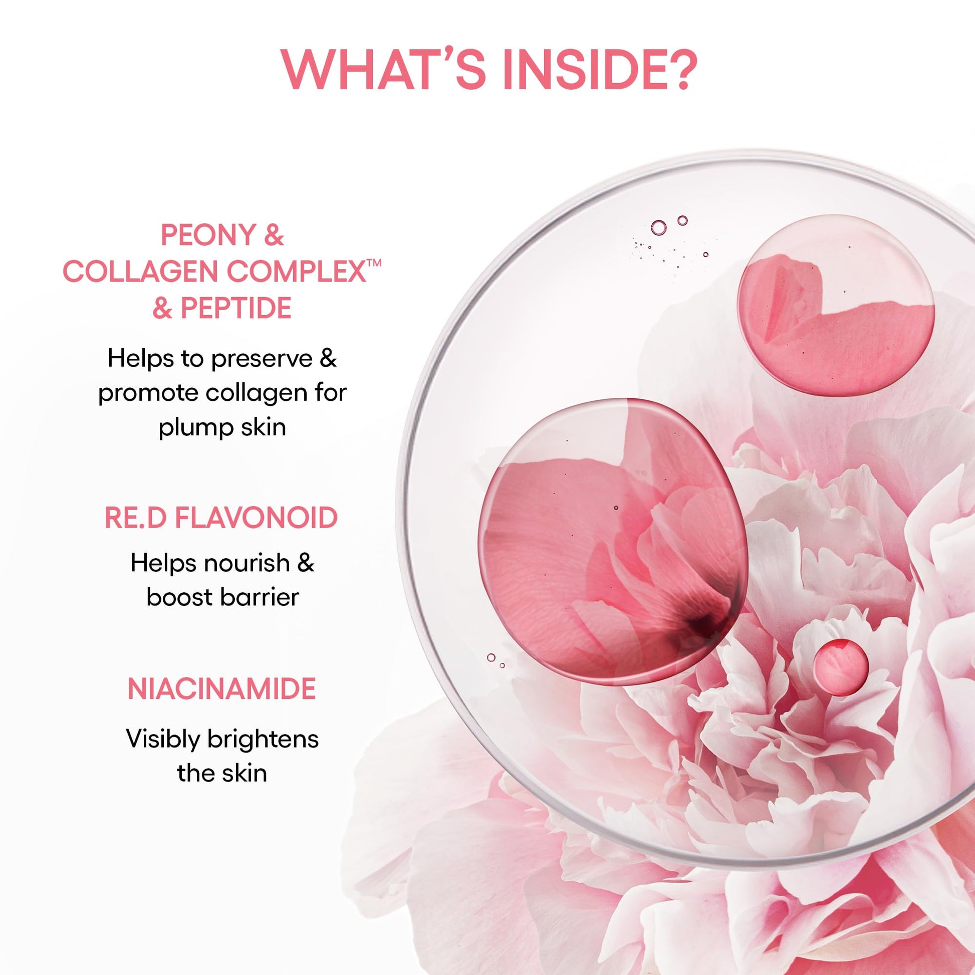 LANEIGE Bouncy & Firm Serum: Korean Slow Anti-Aging Collagen Complex Face Serum with Peptides for
