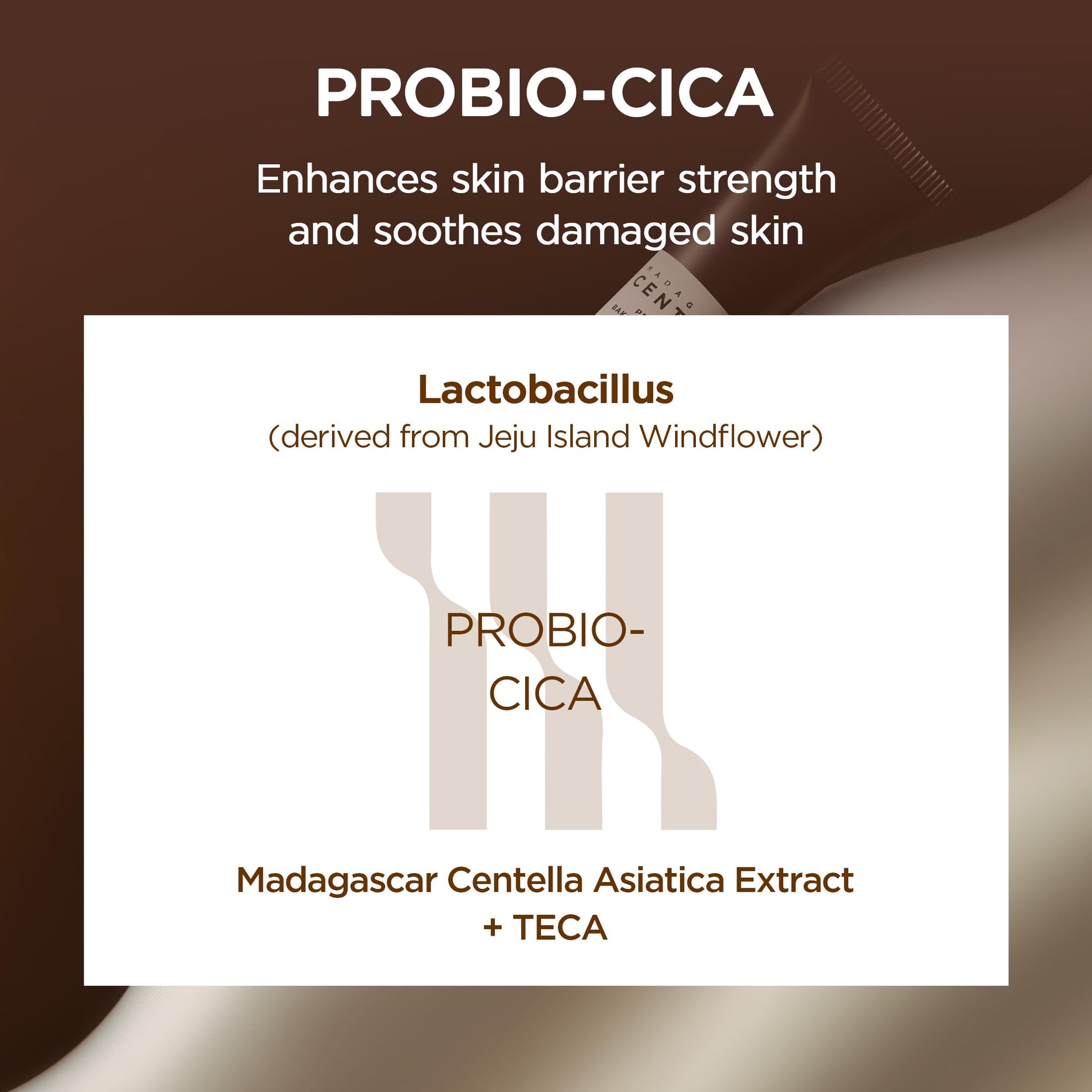 SKIN1004 Probio-Cica Bakuchiol Eye Cream Twin, Korean Under Eye Cream with Bakuchiol & Centella