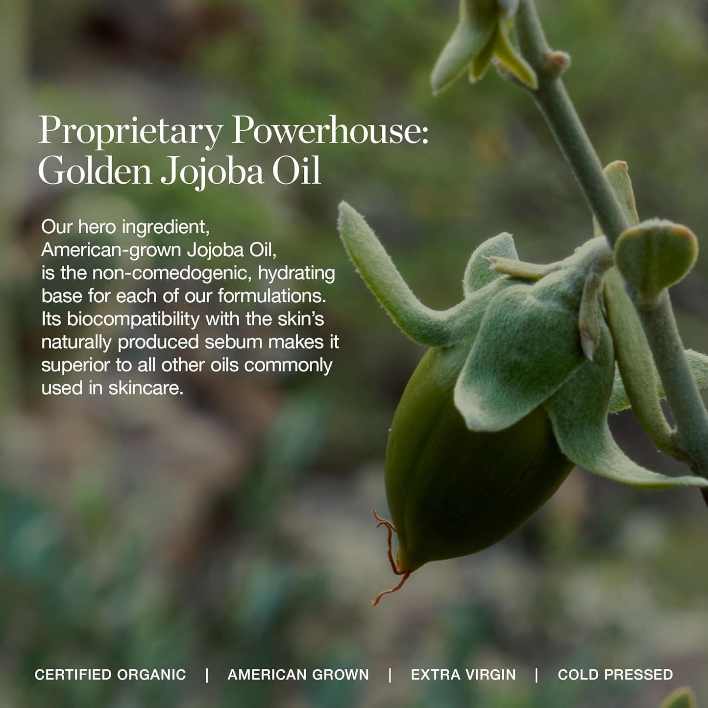 Ogee Complexion Perfecting Under Eye Concealer - Certified Organic Full Coverage Concealer - Buildable Coverage - WILLOW 3.00C - Light Medium (Peach Undertones)